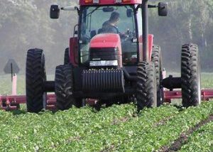 Cilento, i terreni del demanio ai giovani imprenditori agricoli