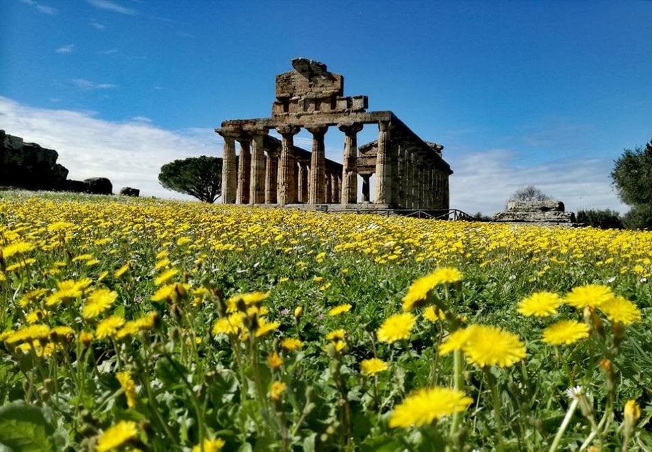 Dalla neve ai fiori: così cambia lo spettacolo dei Templi di Paestum