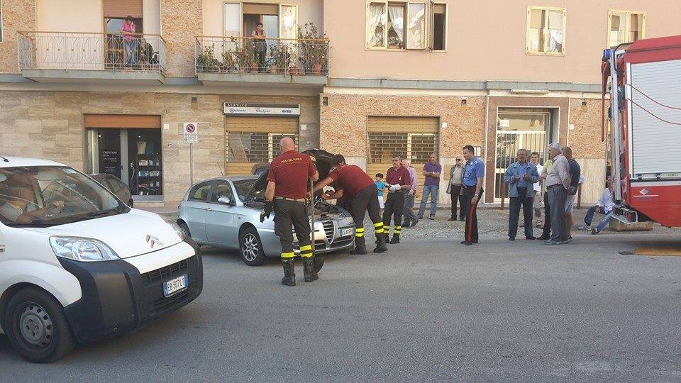 Serpente si infila in macchina, traffico in tilt: intervengono le forze dell’ordine ma un residente lo libera con le mani