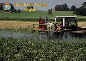 Operazione ‘Mela stregata’, finanza sequestra 16 tonnellate di pesticidi: blitz anche nel salernitano