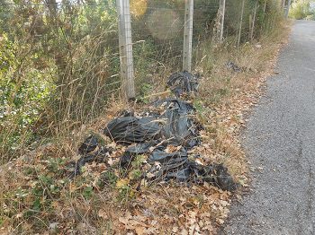 Degrado vicino al cimitero di Vallo della Lucania: discarica a cielo aperto in mezzo alla natura del Parco