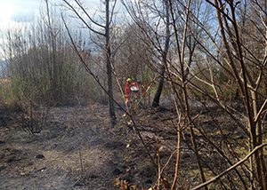 Padula, incendio vicino al cimitero: fiamme lambiscono abitazioni