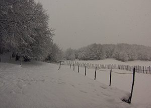 E’ arrivato il freddo: cade la neve sul Cilento e sul Vallo di Diano