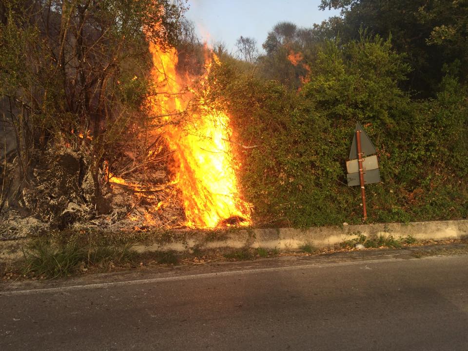 Incendio distrugge collina nel Cilento, fiamme lambiscono la strada: paura per gli automobilisti