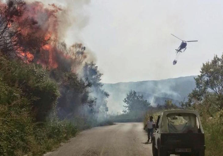 Cilento, incendio pauroso devasta collina: panico e abitazioni evacuate