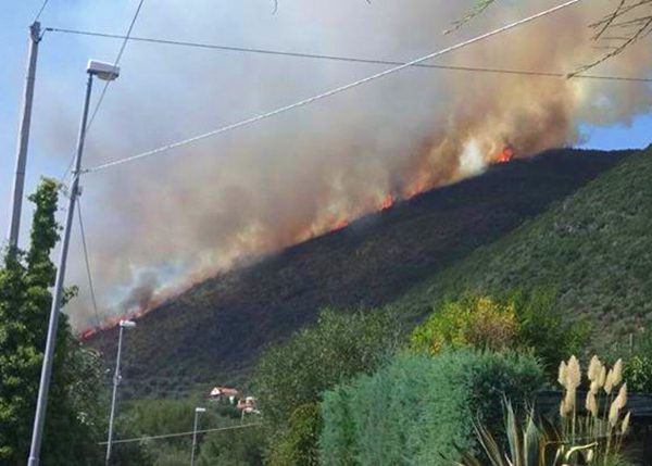 Brucia ancora il Cilento, incendio a Pisciotta: è visibile da Acciaroli e da Futani