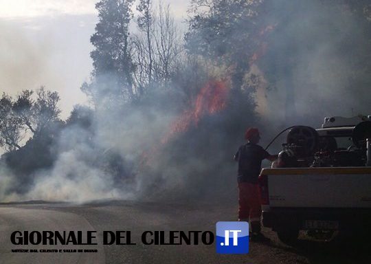 Allarme piromani in Cilento, doppio incendio colpisce Morigerati: bruciano ettari di macchia mediterranea