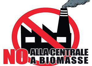 Centrale biomasse Cilento, Movimento 5 stelle: «De Luca, cosa vuoi fare?»