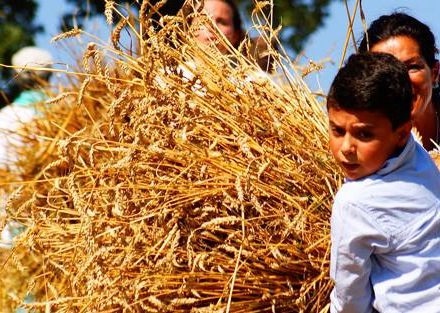 L’arte contadina che guarda al futuro, torna il Palio del Grano di Caselle in Pittari