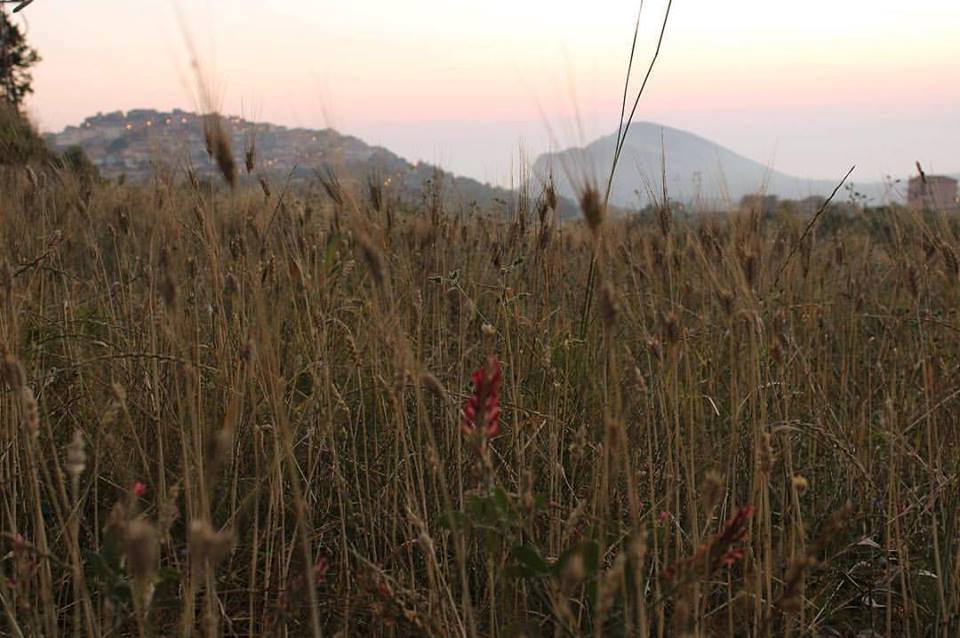 Trentinara, il borgo della terrazza più bella del Cilento celebra la ‘Festa del pane e della civiltà contadina’