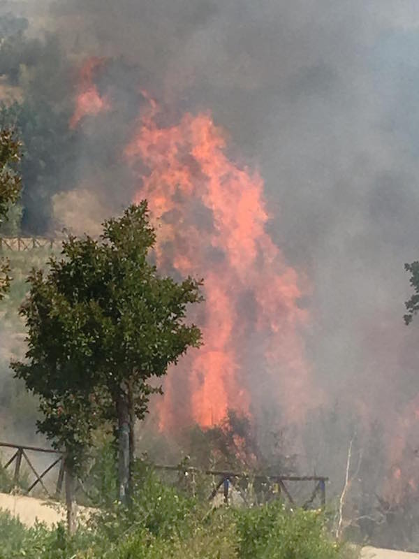 Gli incendi continuano a distruggere il Cilento, bruciano Camerota e Pollica