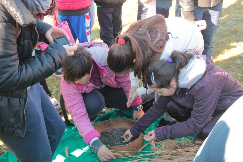 Caselle in Pittari, studenti alle prese con la semina del grano (FOTO)