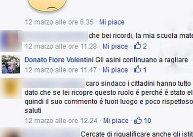 Cittadini discutono su viabilità, interviene il sindaco: «Asini continuano a ragliare». Scoppia la polemica