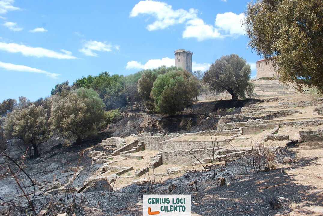 Parco di Elea-Velia, Valiante deposita interpellanza urgente. Borletti Buitoni: «Impegno per tutela e rilancio»