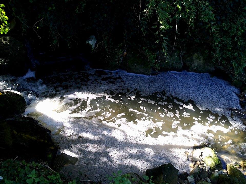 Rifiuti e sporcizia nel cuore del Parco del Cilento: schiuma e odori nauseabondi nel ruscello E VIDEO