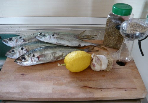 Filetto di sgombro con scorza di limone e origano selvatico