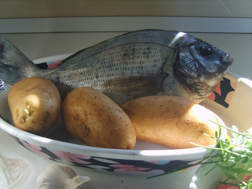 Tanuta al forno con “coperta” di patate novelle