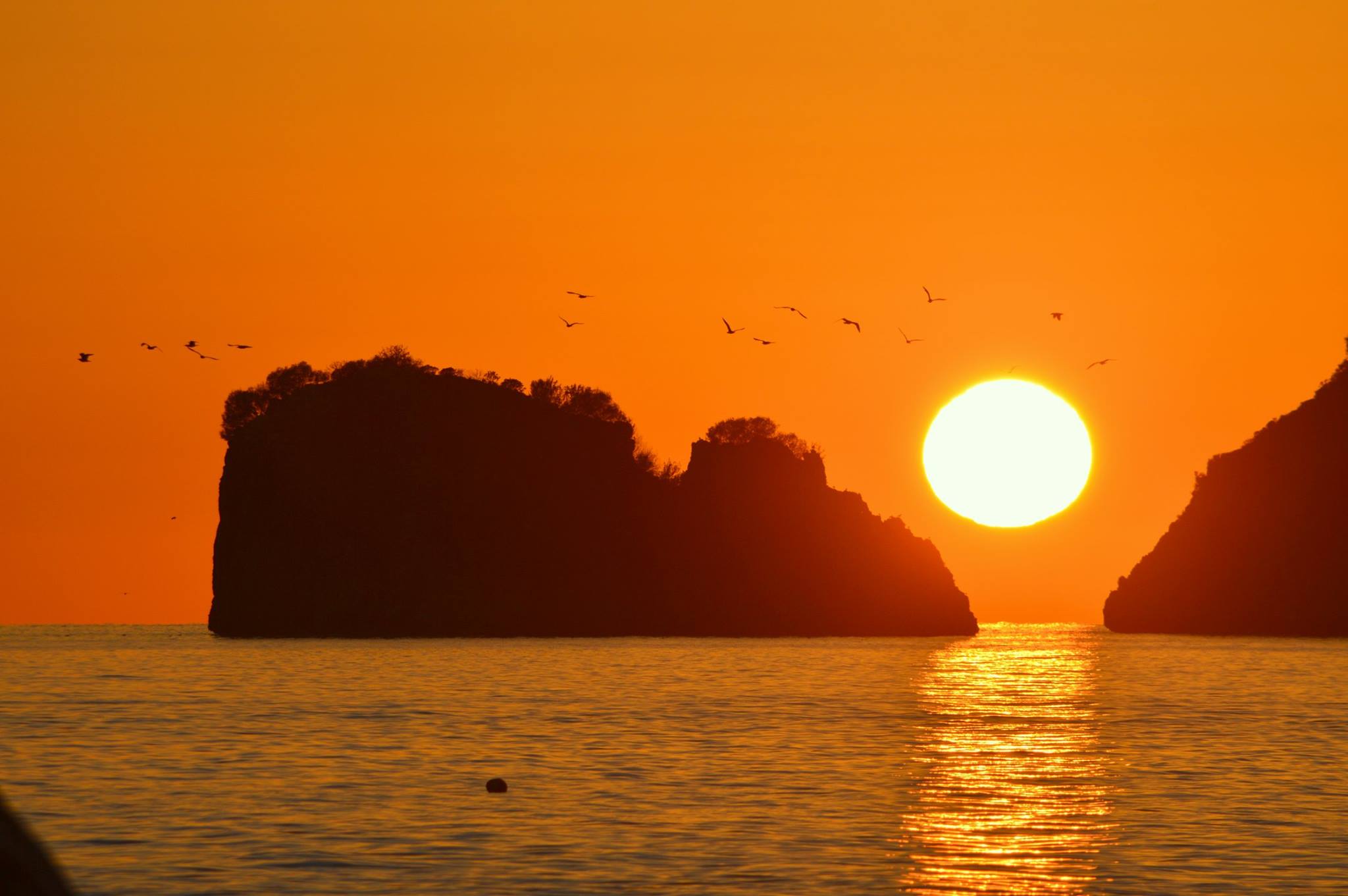 Il ‘coniglio’ che osserva i gabbiani al tramonto: la foto che sembra quadro