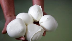 La Mozzarella di Bufala Campana DOP: l’ambasciatrice del gusto campano nel mondo