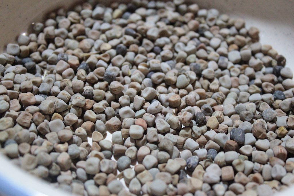 Campania e i suoi legumi Presìdi Slow Food: quali quelli del Cilento