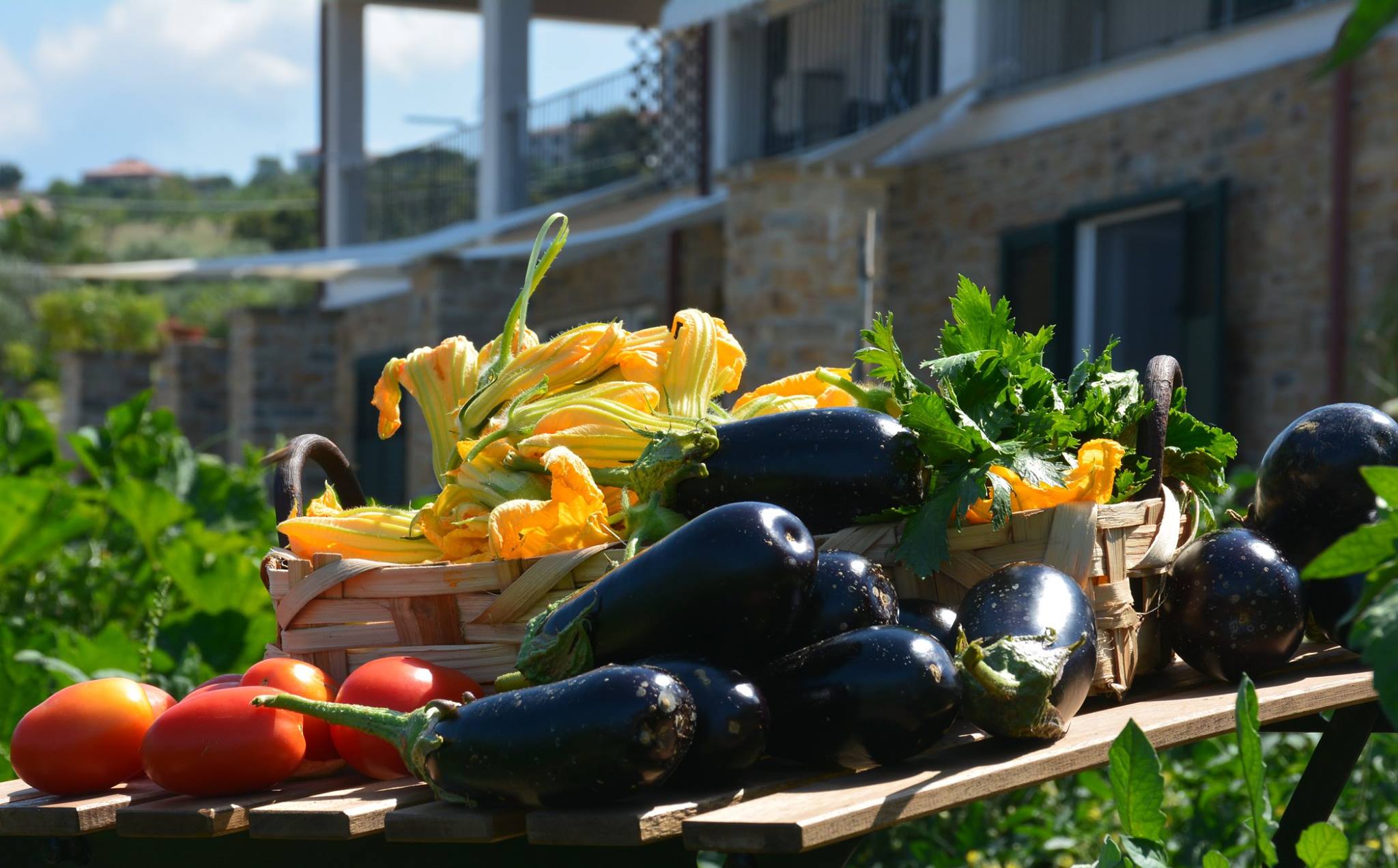 Il Cilento sbarca negli Stati Uniti d’America: ora la dieta Mediterranea è mondiale