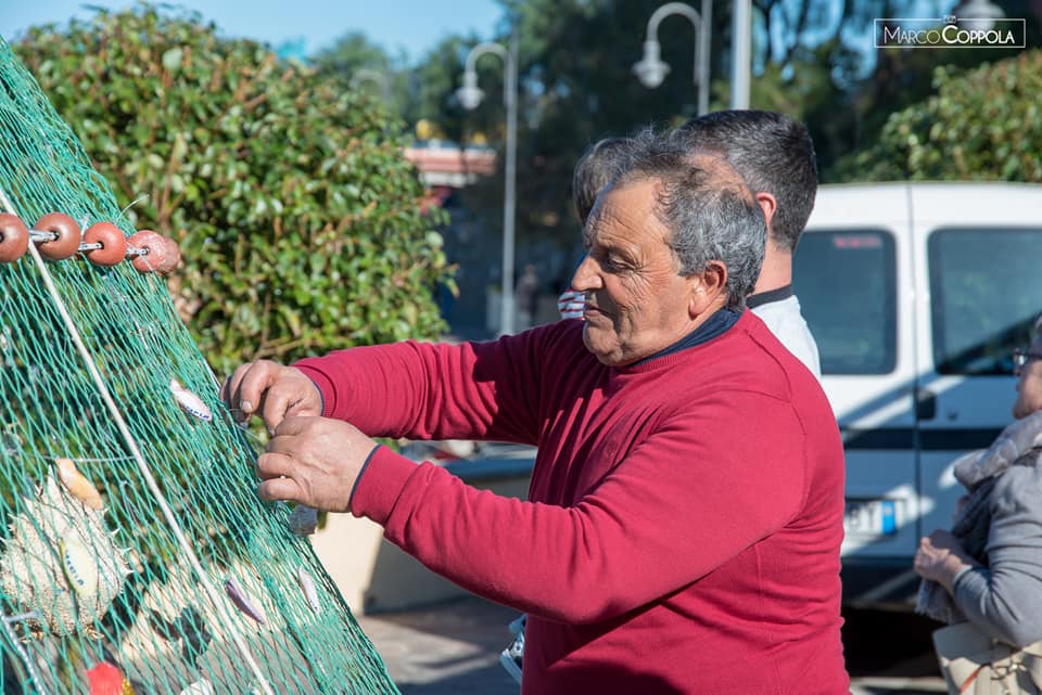 A Castellabate l’albero di Natale arriva dal mare