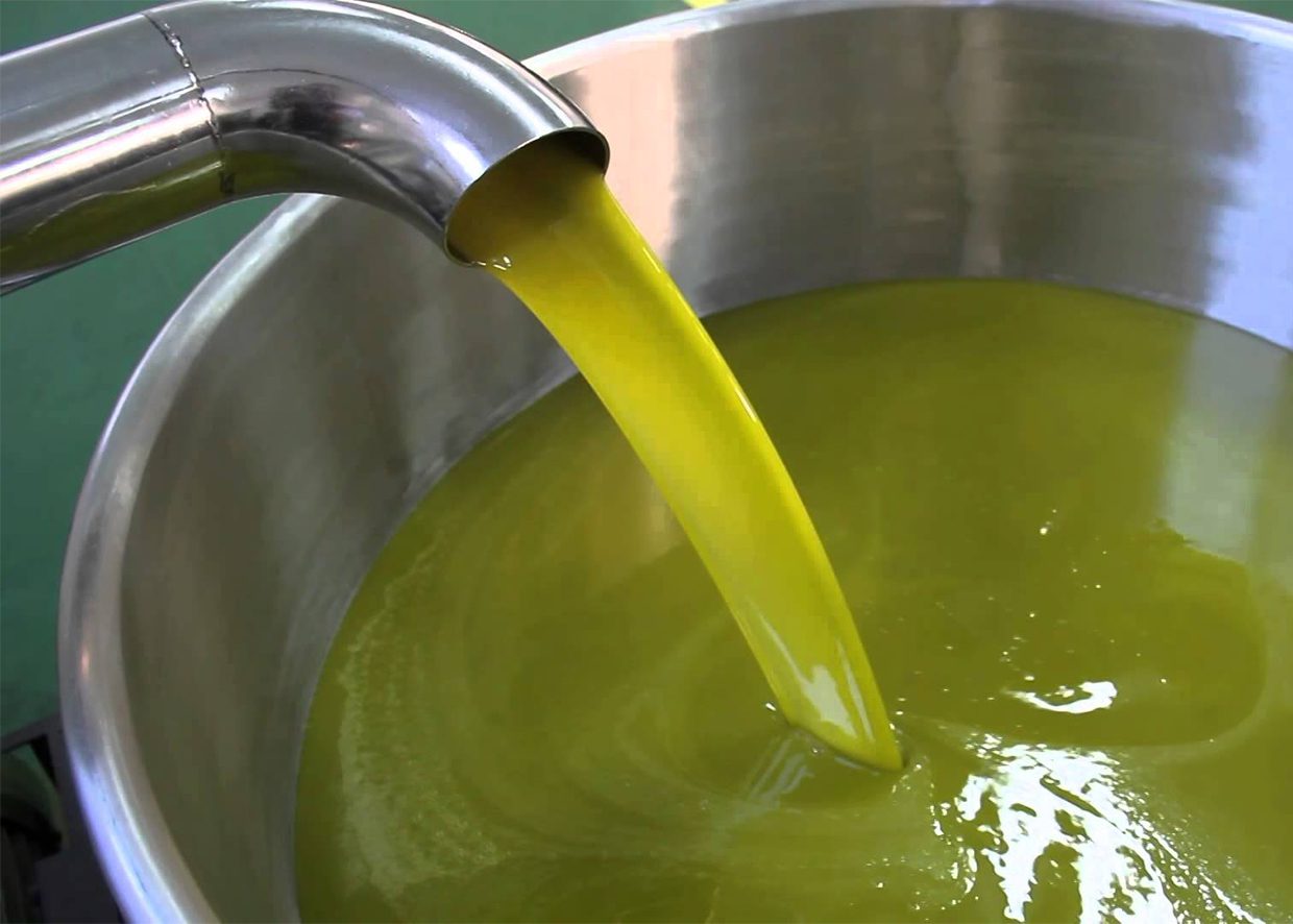 Sicilì, una summer school dedicata all’olio extravergine di oliva