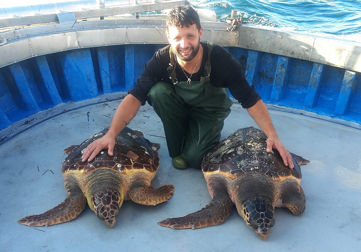 Cilento, pescatori a scuola per imparare a salvare le tartarughe