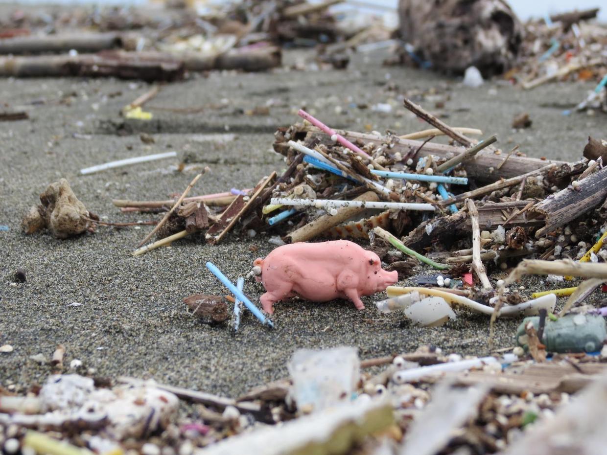 Beach Litter, 5 spiagge del Cilento monitorate da Legambiente