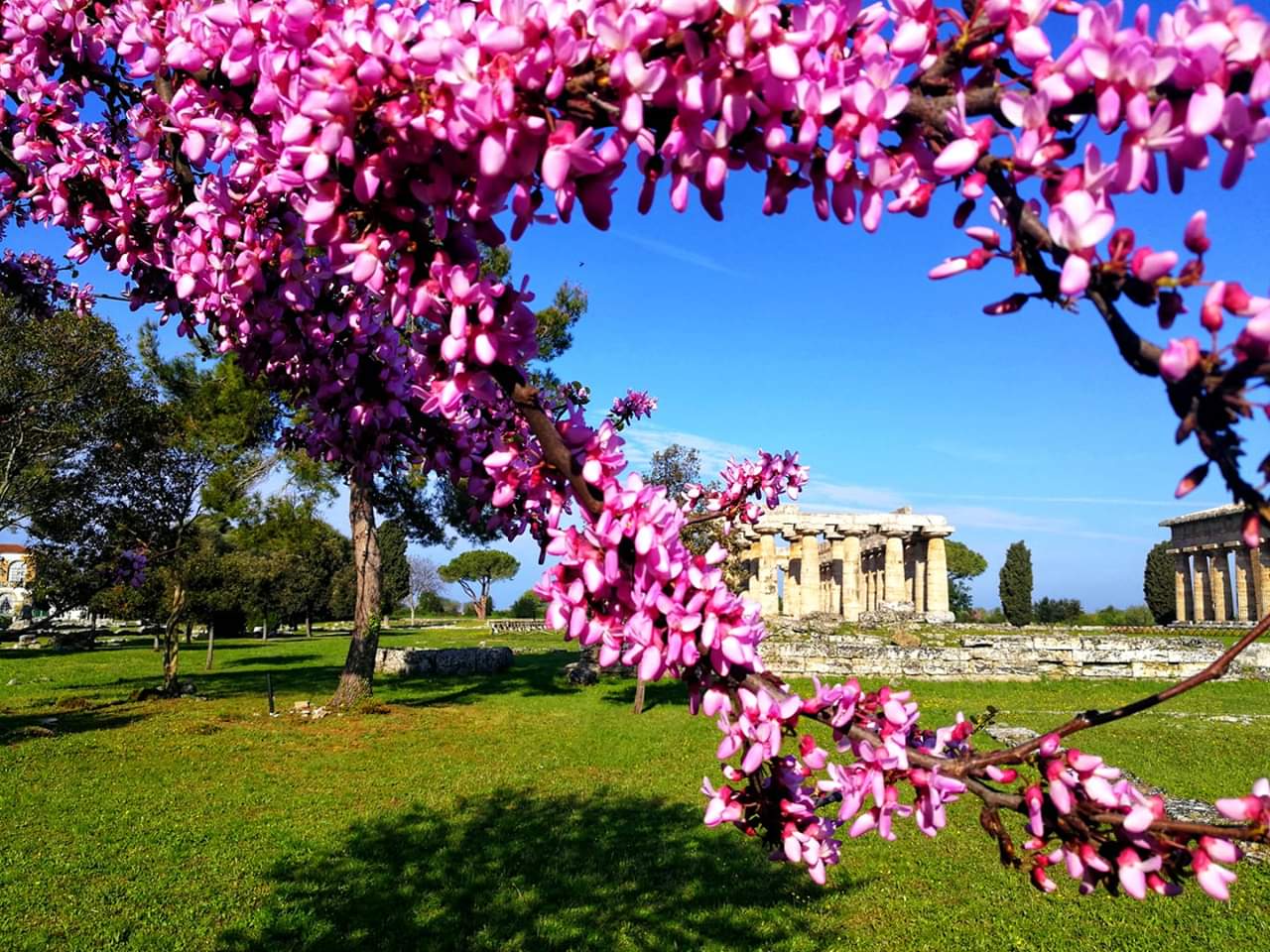 Pasqua e Pasquetta tra i Templi di Paestum