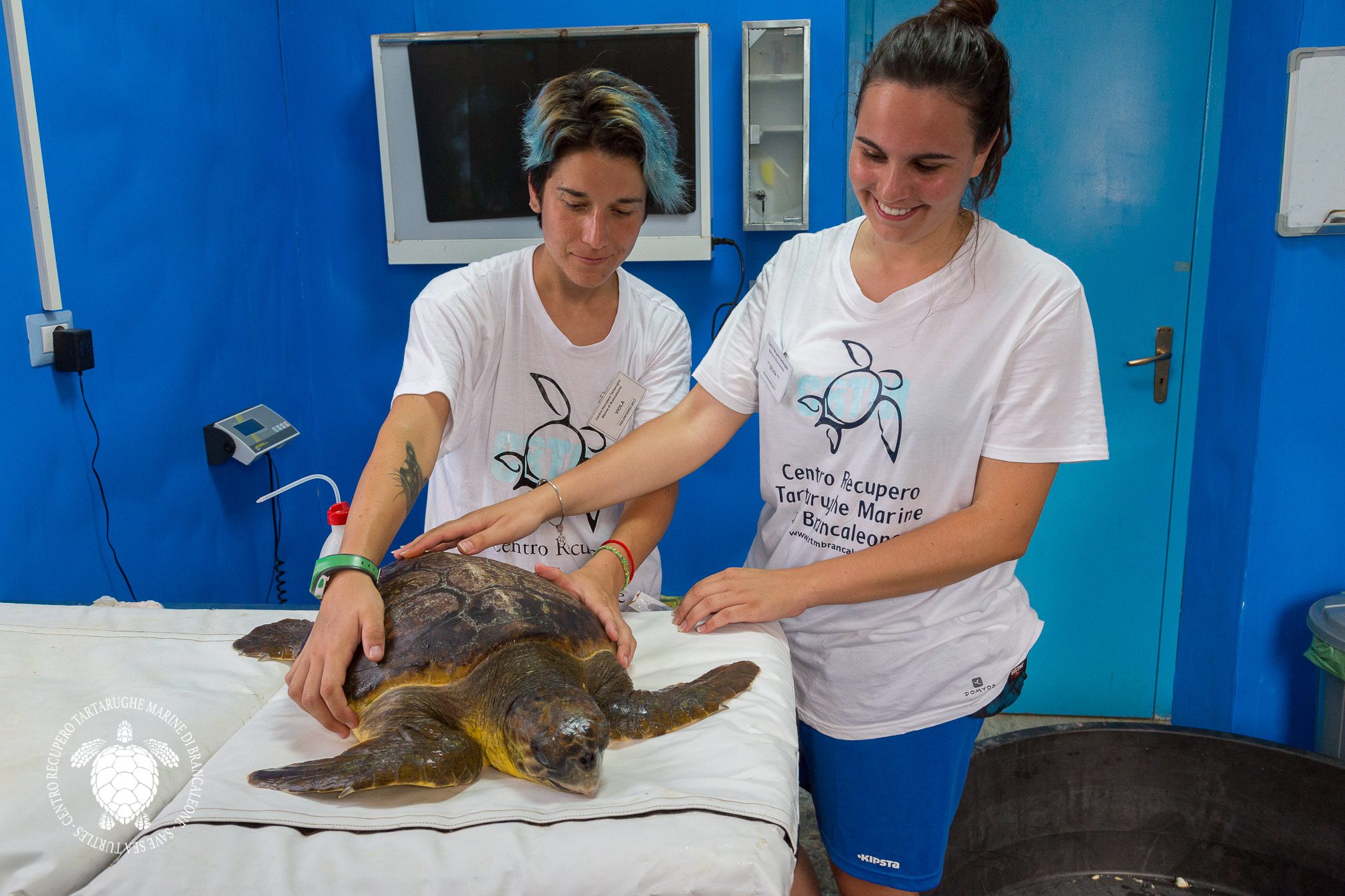 Nel Cilento un centro per le tartarughe marine