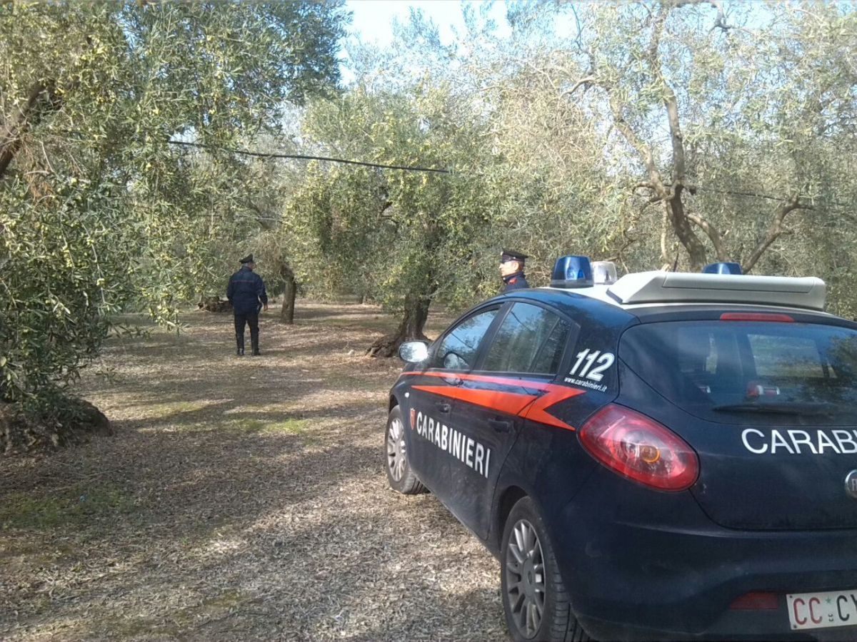 Cilento, trovano fratello morto con un cappio al collo