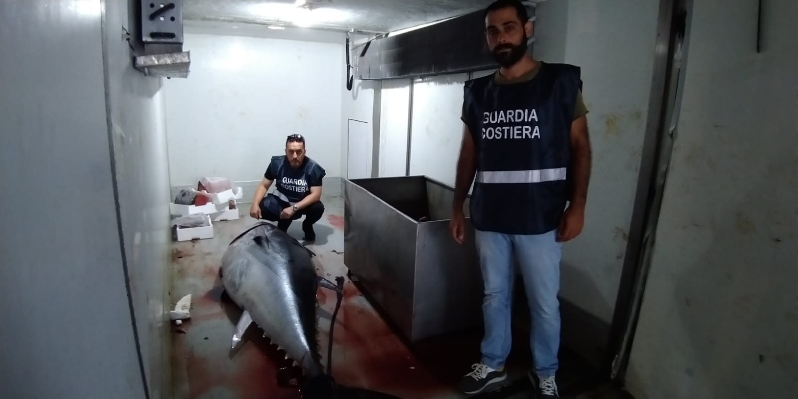 Policastro, sequestrati 400 chili di tonno rosso