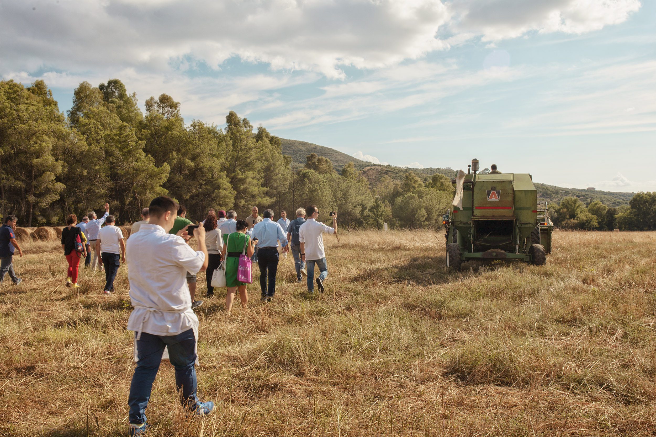 Campi del Cilento, torna l’iniziativa della Molini Pizzuti dedicata ai grani antichi