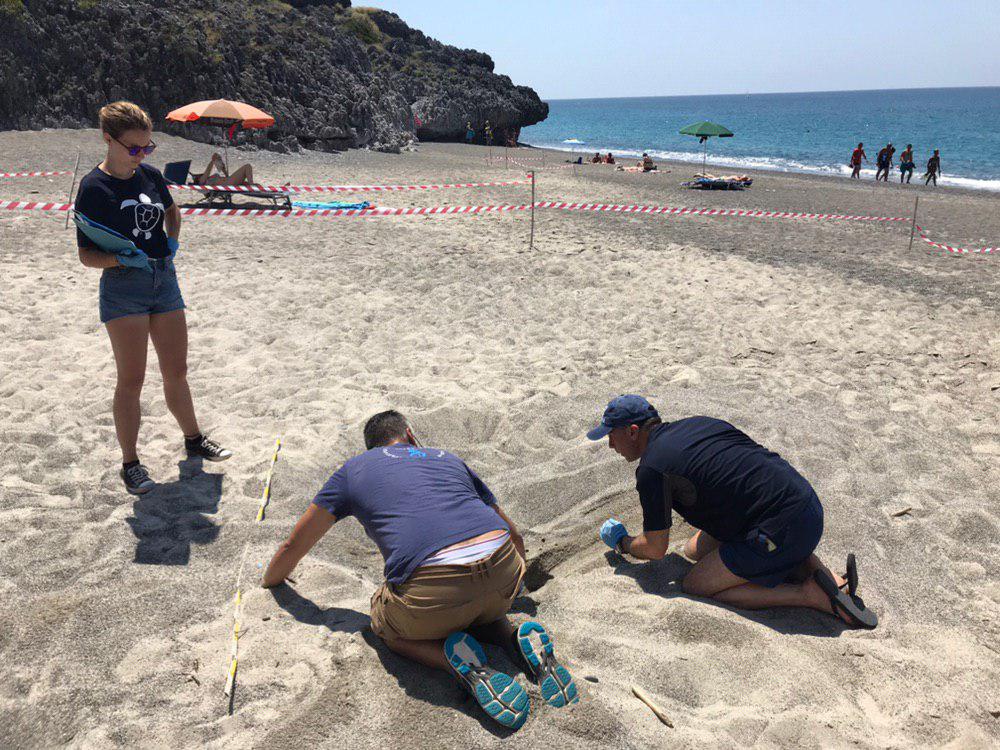 Camerota, un corso in spiaggia per riconoscere le tracce di tartaruga