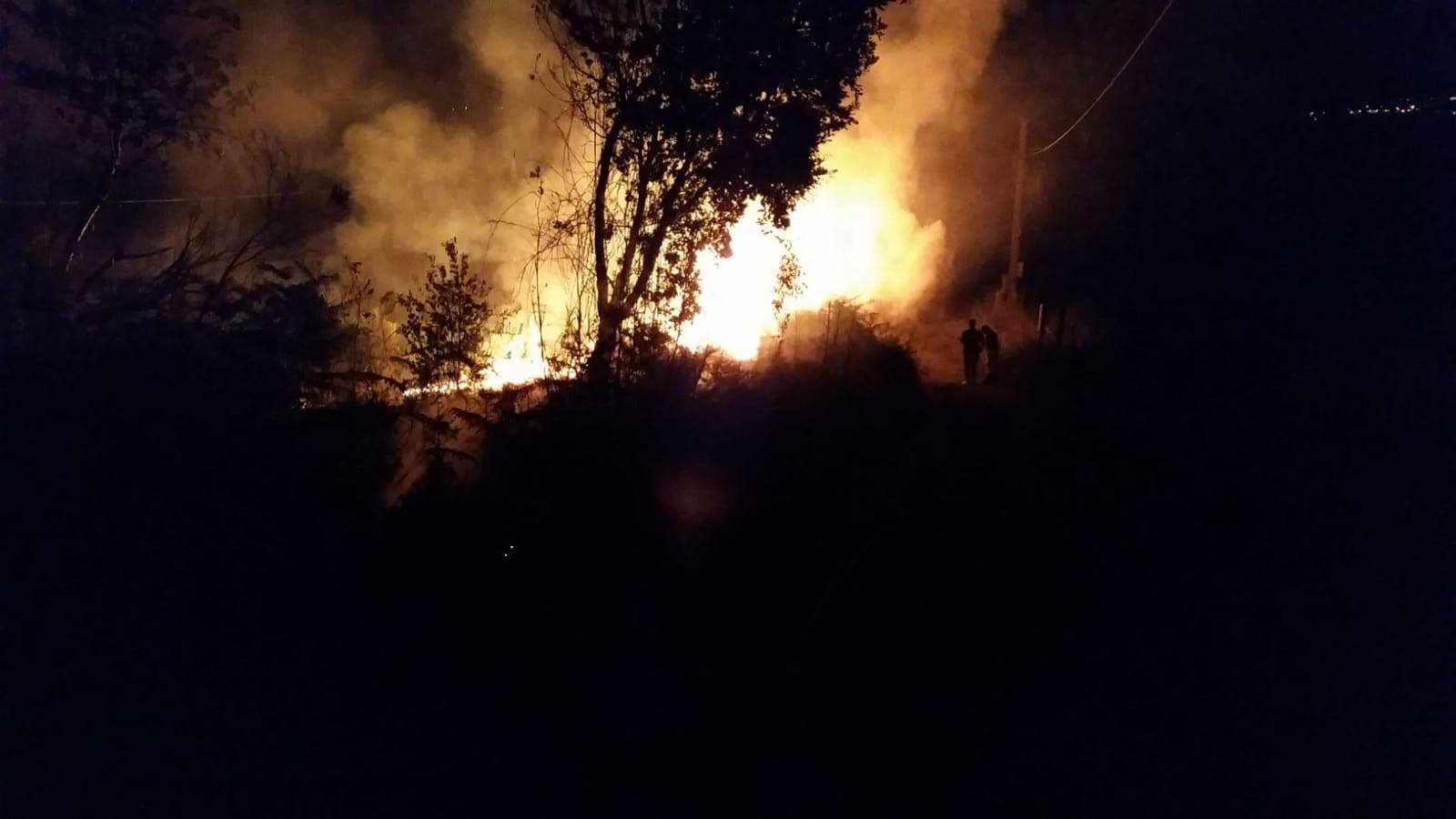 Cilento, nella notte fiamme alte vicino alle abitazioni