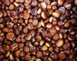 Castagne di Roccadaspide, cuore dolce dell’autunno cilentano