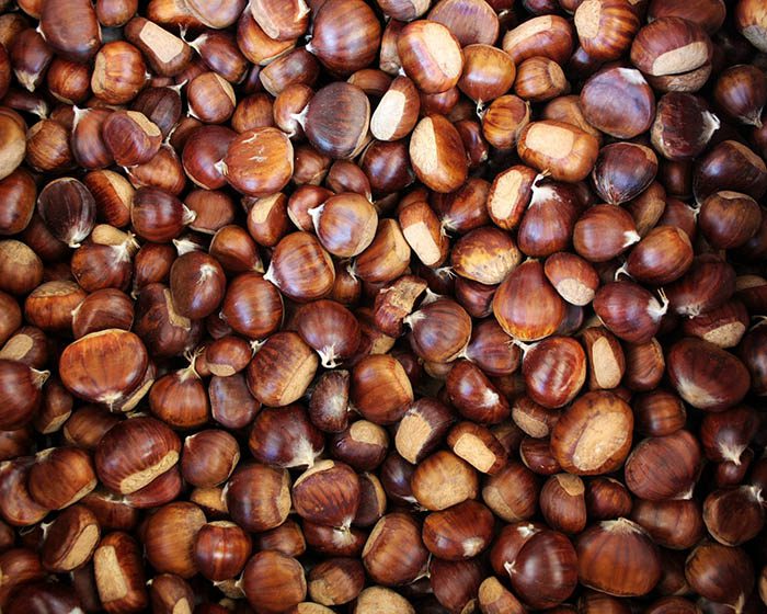 Castanicultura, gemellaggio tra Pollica e Laurito per valorizzare tipicità