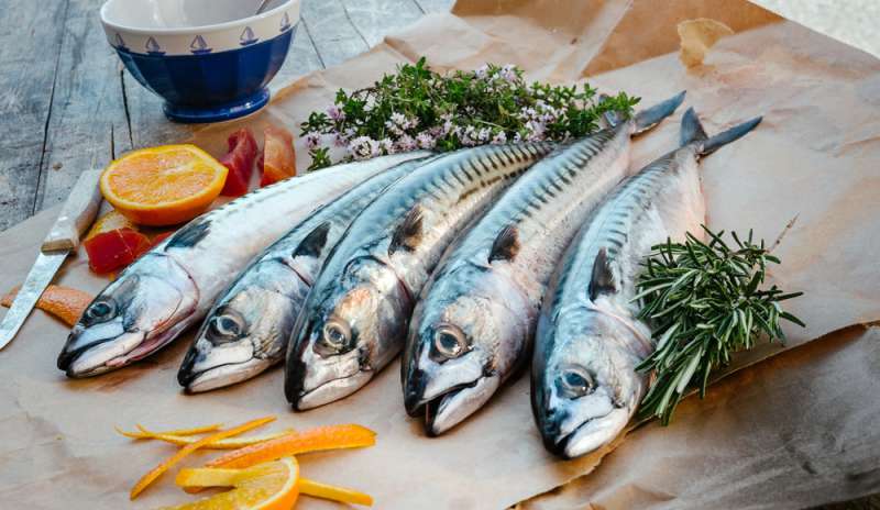 A Castellabate e Camerota alunni a lezione cucina con pescato dieta Med