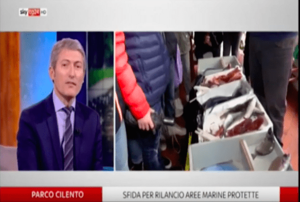 Il pescato del Parco del Cilento a Sky Tg24: «E’ colonna dieta mediterranea»