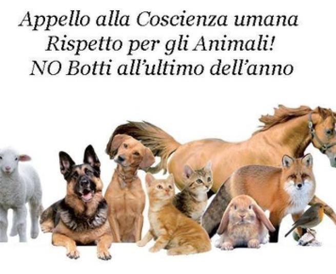 I botti di Capodanno serio pericolo per noi e per gli animali