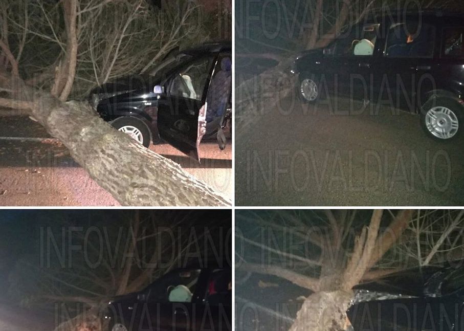 Tragedia sfiorata, grosso albero cade su un’auto: a bordo madre e figlio