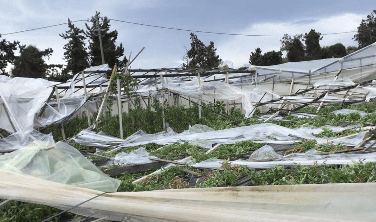 Maltempo, Coldiretti: «In Cilento danni incalcolabili»