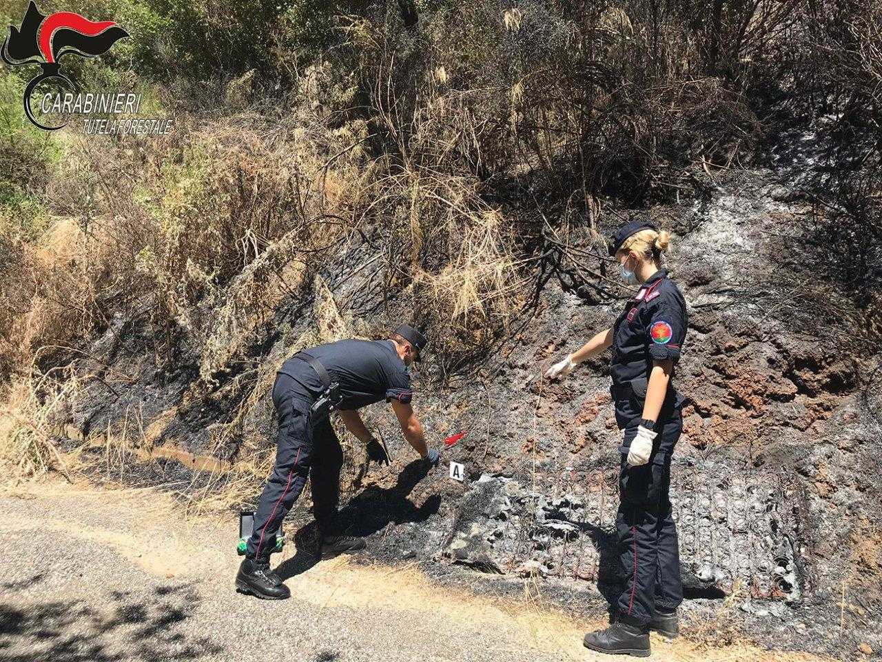 Cilento, responsabile incendio acciuffato dai carabinieri