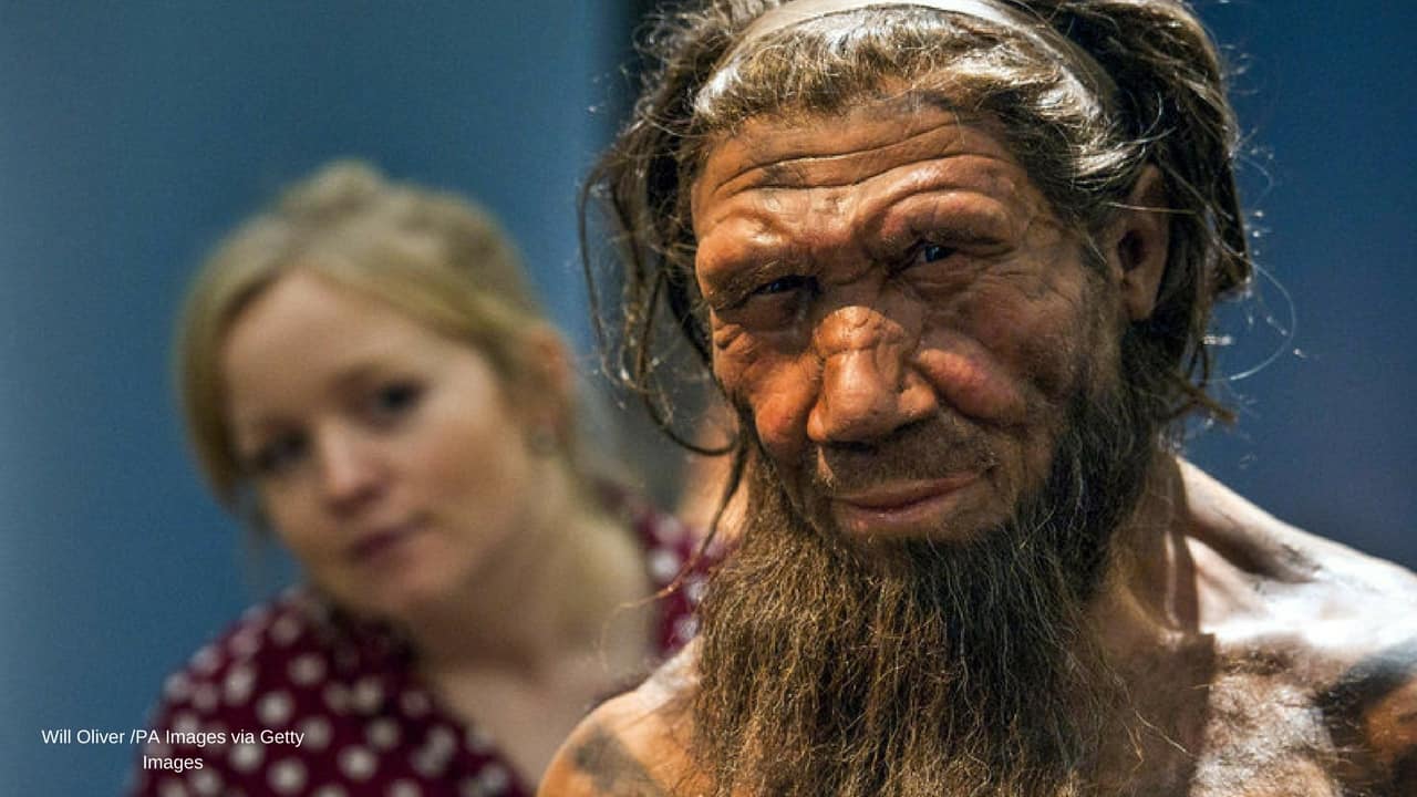 Cilento, la scoperta: Neanderthal subacquei, in apnea in cerca di conchiglie