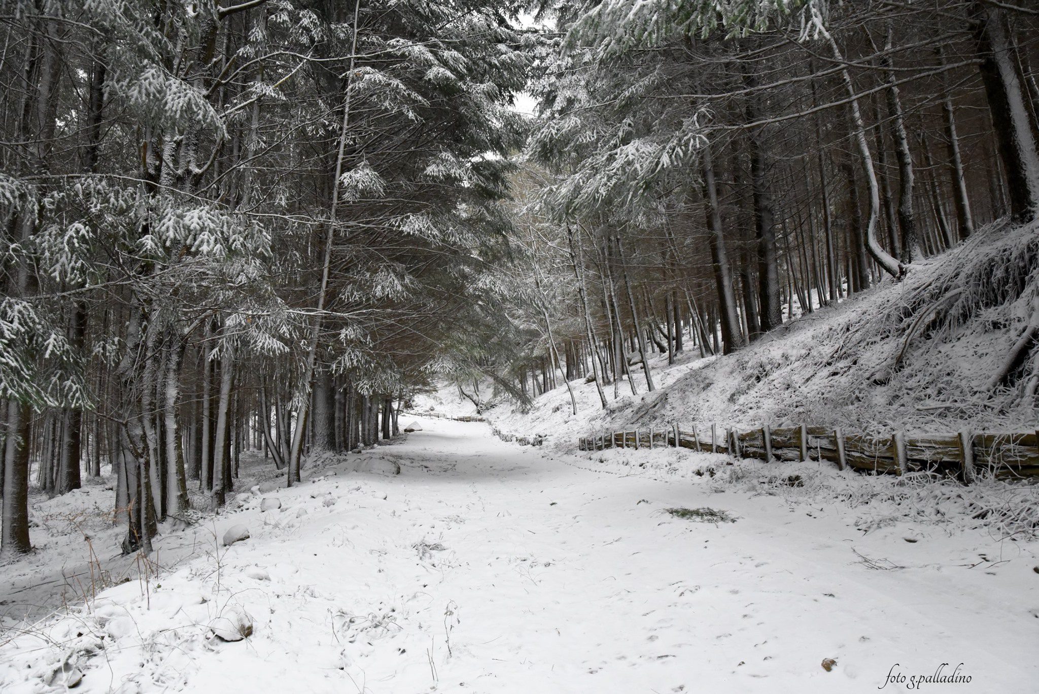 Monte Gelbison avvolto da neve: scenario da favola