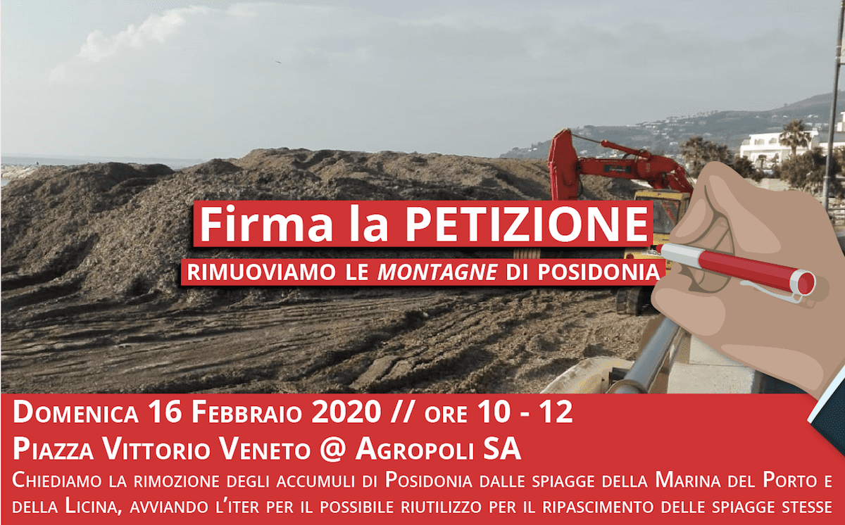 Agropoli, le alghe restano un problema: via alla petizione per rimuoverle