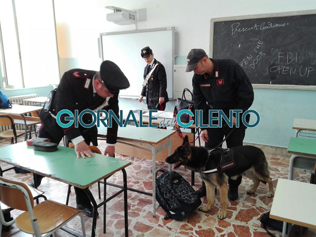 Droga nei bagni della scuola: blitz dei carabinieri