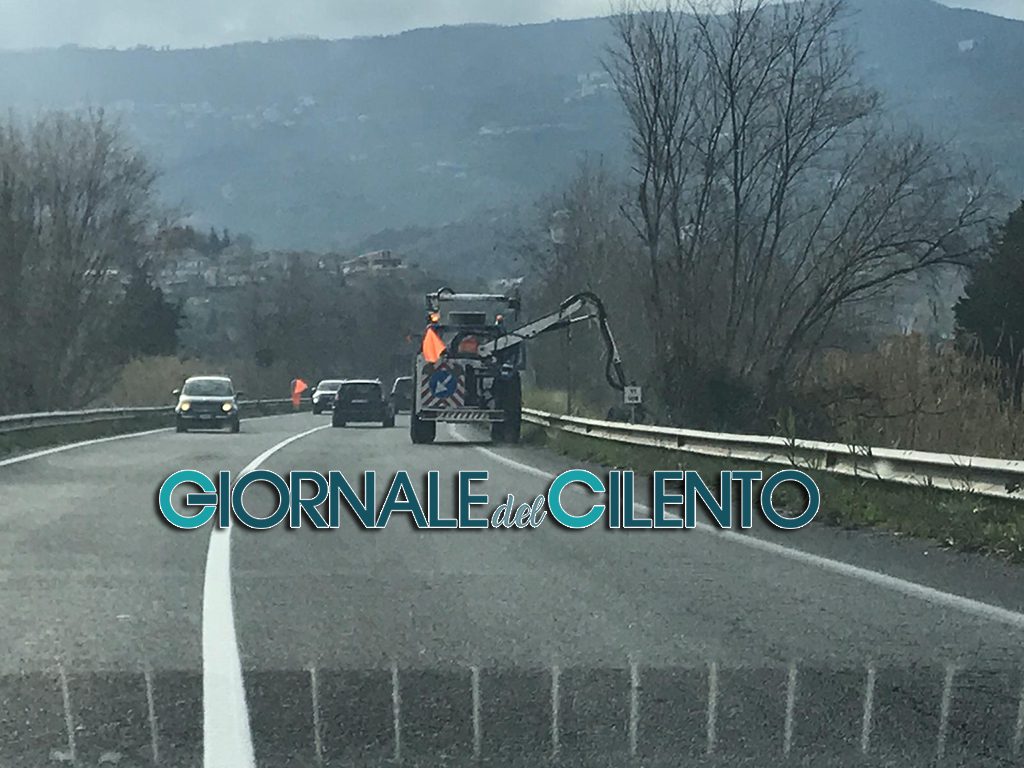 Attività di manutenzione ordinaria lungo la strada Cilentana