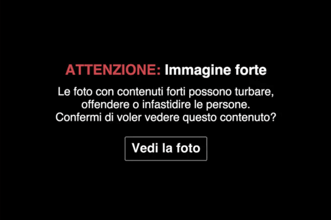 Camerota, il mare porta una volpe morta sulla spiaggia